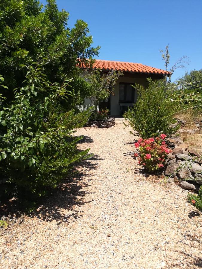 Agriturismo Su Birde Orosei Eksteriør billede