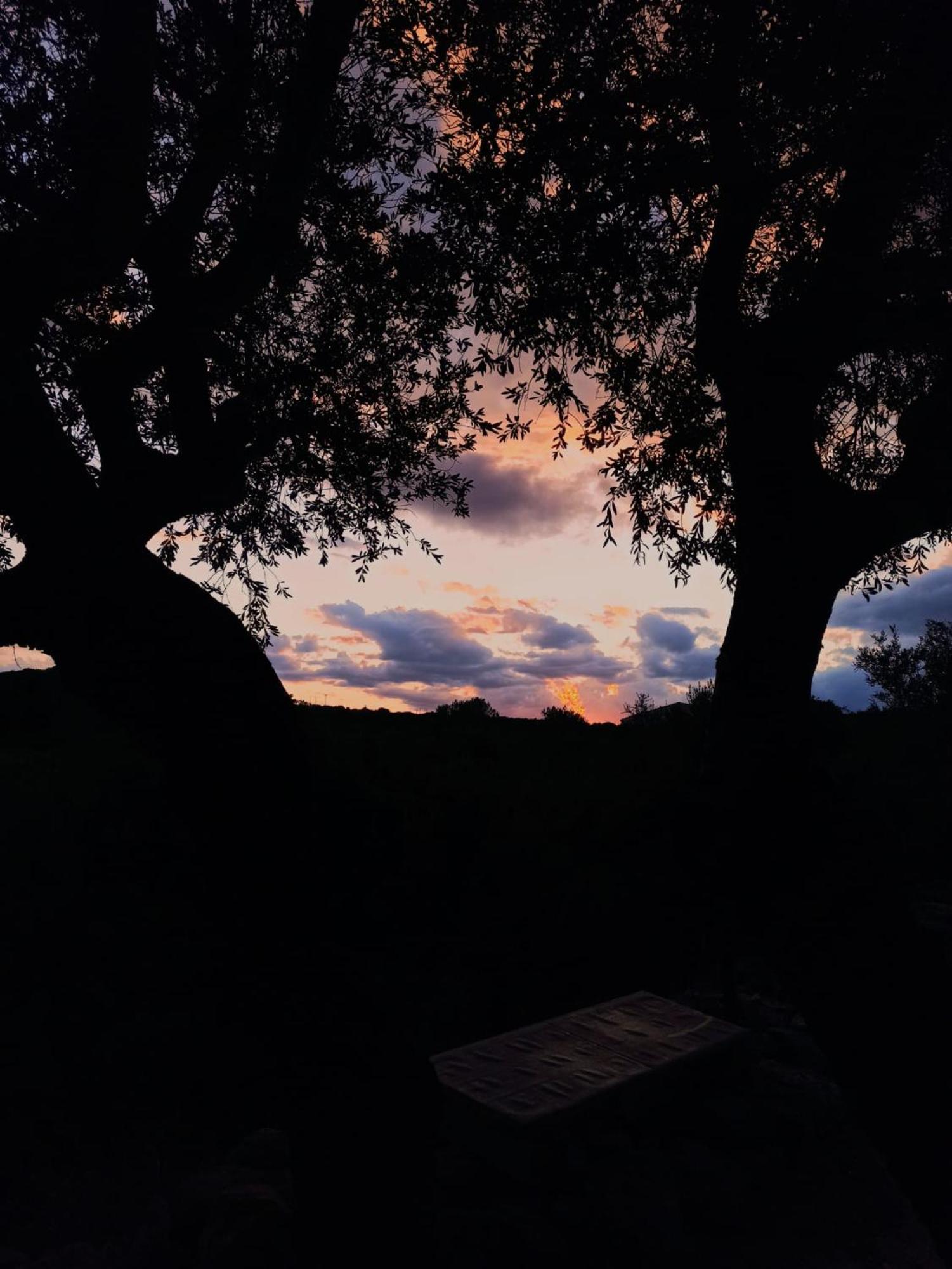 Agriturismo Su Birde Orosei Eksteriør billede